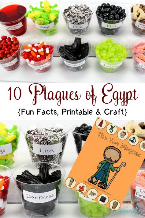 Fun Craft Activities for Teaching the 10 Plagues of Egypt - Homeschool Giveaways The 10 Plagues Of Egypt, 10 Plagues Of Egypt, Passover Crafts, Egypt Crafts, 10 Plagues, Plagues Of Egypt, Preschool Bible, Sunday School Crafts For Kids, Bible School Crafts