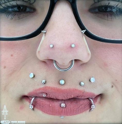 Austin Bar Piercing Nose, Austin Piercing, Austin Bar Piercing, Mantis Piercing, 3 Lobe Piercings, Nasallang Piercing, Austin Bars, Septum Nose Piercing, Stretched Septum