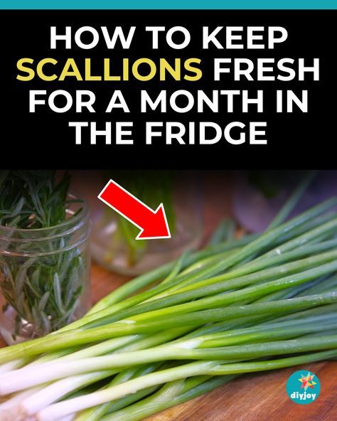 Did you know you can keep your scallions or green onions fresh for a month in your fridge? Yes, you can. Learn how to do it here. Keeping Green Onions Fresh, How To Keep Green Onions Fresh In Fridge, How To Store Scallions, Storing Green Onions In Fridge, How To Keep Parsley Fresh In The Fridge, How To Keep Green Onions Fresh, How To Store Green Onions In Fridge, Crown Royal Apple, Cheese Pull Apart