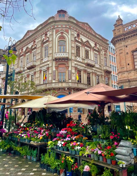 Cuenca Ecuador Aesthetic, Ecuador Culture, Cuenca Ecuador, Ecuador Travel, Hispanic Culture, Hispanic Heritage Month, Hispanic Heritage, Future Travel, Flower Market