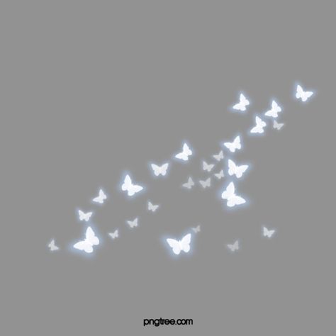 butterfly clipart,white,lighting effects,butterfly,beautiful,romantic,lighting,effects,light clipart,燈光效果,game effects,sparkle effect,light effects Theme Dividers Instagram, Butterfly Overlay, Butterflies Png, Sparkle Butterfly, Flower Bouquet Png, Theme Divider, Butterfly Light, Light Png, Optical Flares