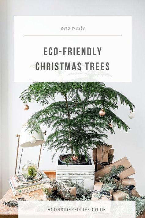 Zero Waste Christmas, Natural Christmas Tree, Eco Christmas, Norfolk Pine, Sustainable Christmas, Pine Christmas Tree, Eco Friendly Christmas, Christmas Is Over, Eco Friendly Decor