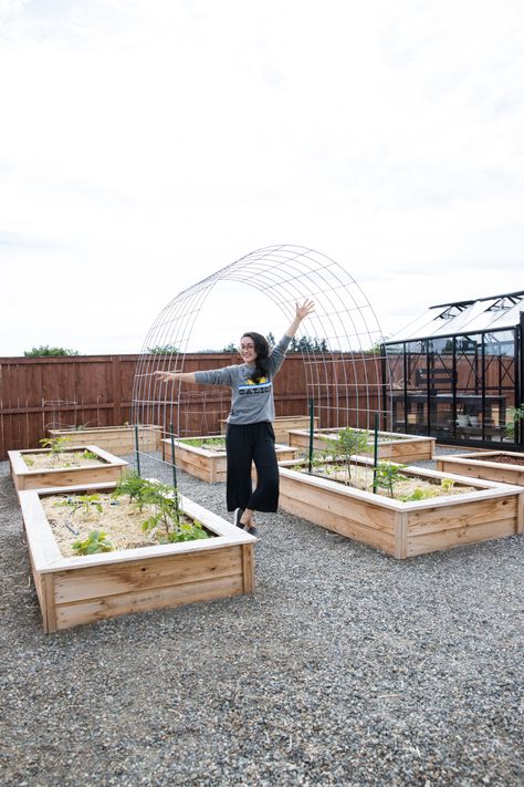 Garden Bed Layout, Tomato Trellis, Garden Arch Trellis, Raised Bed Garden, Garden Goals, Arch Trellis, Backyard Vegetable Gardens, Garden Arches, Veg Garden