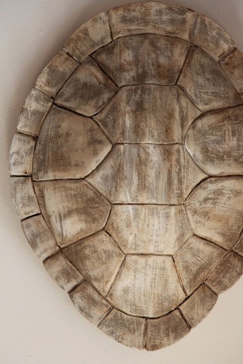 Sea Turtle Shell, Turtle Crafts, Decorating 101, Instagram Wall, Thrifty Thursday, Dark Wax, Turtle Art, Turtle Shell, Florida House