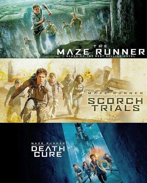 The Maze Runner posters Maze Runner Poster, Maze Runner 1, Scorch Trials, Maze Runner The Scorch, Maze Runner Trilogy, Maze Runner Cast, Maze Runner Movie, The Scorch, Maze Runner Series