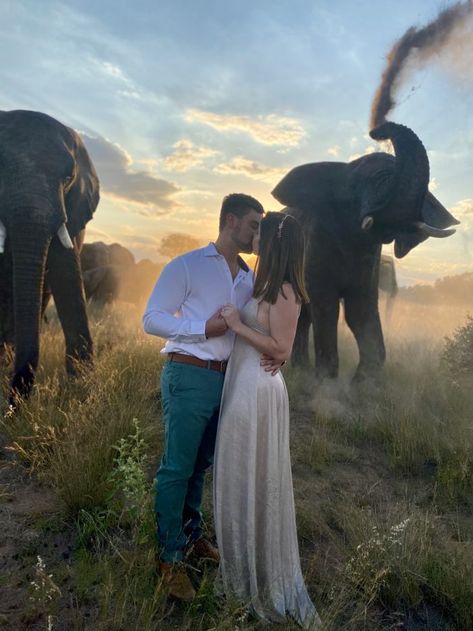 Image 7 of Jeanette and Christopher Safari Engagement Shoot, Elephant Proposal, Safari Proposal, Dream Proposal, Proposal Videos, Proposal Pictures, Safari Wedding, Best Wedding Proposals, Surprise Engagement