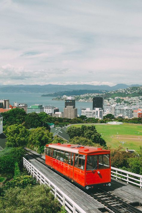 Wellington New Zealand Aesthetic, New Zealand Aesthetic City, Wellington Aesthetic, New Zealand Aesthetic, New Zealand Wellington, New Zealand Photography, New Zealand Cities, New Zealand Adventure, Nz Travel