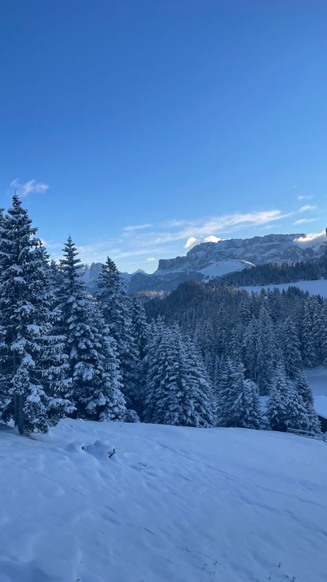 Dolomites Italy Winter Ski, Italy Skiing, Ski Italy, Skiing Aesthetic, Ski Aesthetic, Ski Culture, Dolomites Italy, Mountain Pictures, Colorado Winter