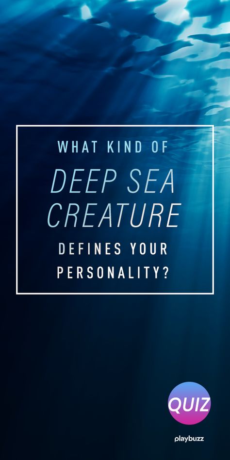 The dark, deep ocean. What kind of deep sea creature are you? This personality quiz will find out. Dark Deep Ocean, Ocean Personality, Hiding In The Shadows, Deep Sea Creature, Playbuzz Quizzes, The Adventure Challenge, Fun Personality Quizzes, Discussion Prompts, Disney Princess Moana