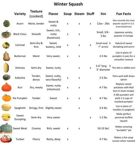 squash varieties identify | Squash varieties chart Squash Varieties Chart, Pumpkin Varieties Chart, Dehydrated Squash, Types Of Squash, Hubbard Squash, Squash Types, Baking Guide, Winter Squash Recipes, Squash Varieties