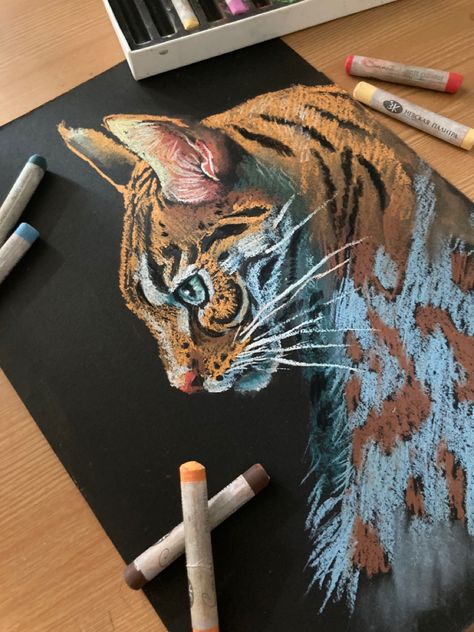 Cat drawing with soft pastel Soft Pastel Art On Black Paper, Pastel Art On Black Paper, Pastel Cat Drawing, Pastel Cat, Draw A Cat, Chalk Pastel Art, Soft Pastel Art, Black Paper Drawing, Drawing Course