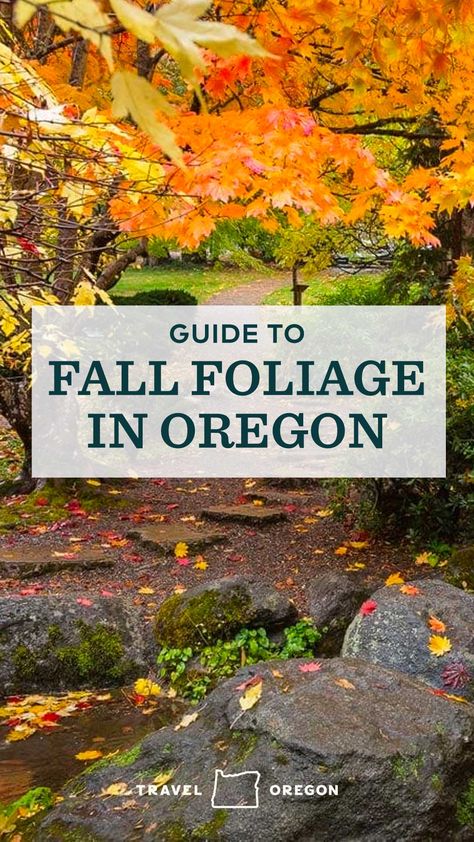 Oregon Fall Foliage, Autumn In Oregon, Fall In Oregon, Oregon Fall, Oregon Adventures, Oregon Road Trip, Eastern Oregon, Scenic Road Trip, Southern Oregon