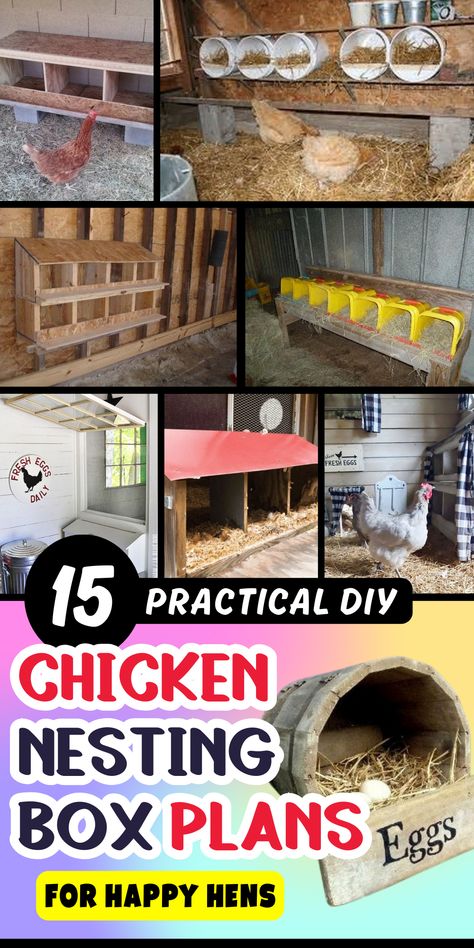 Make cozy nesting spaces for your chickens with these easy-to-follow DIY plans. Diy Cheap Nesting Boxes, Diy Chicken Roosting Boxes, Diy Chicken Beds, Chicken House Decorating Ideas, 5 Gallon Bucket Chicken Nest, How To Make Chicken Nesting Boxes, Cat Litter Nesting Boxes For Chickens, Chicken Nest Boxes Diy, Stacked Nesting Boxes