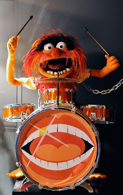 Animal | Animal Muppet by Master Replicas, with custom drums… | Flickr Animal Muppets, The Muppets Characters, Ernie Und Bert, Drums Wallpaper, Animal Muppet, Of Monsters And Men, Sesame Street Muppets, Fraggle Rock, The Muppet Show