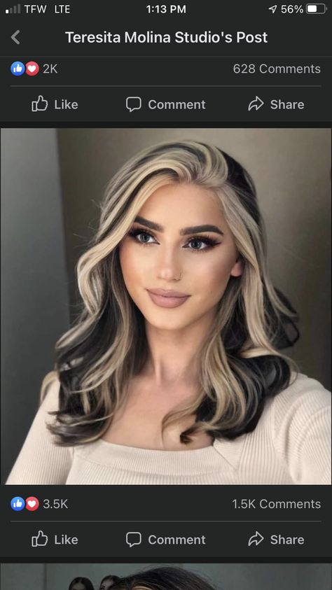 Dark Brown Hair With Blonde Front Pieces, Money Piece Side Part, Side Part Money Piece Hair, Black Hair With Blonde Front Pieces, Black Lowlights, Ash Blonde Hair Balayage, Black To Blonde Hair, Rambut Brunette, Hair Color Underneath