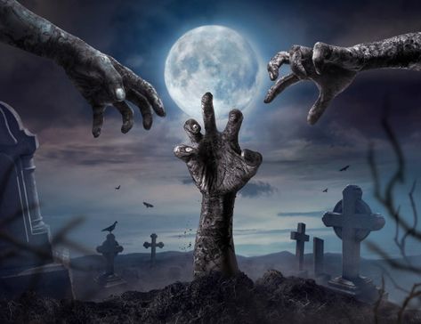 Zombie hands rising in dark halloween night. Premium Photo | Premium Photo #Freepik #photo #halloween #hand #hands #moon Full Moon Halloween, Scary Zombie, Moon Halloween, Halloween Backdrop, Zombie Hand, Dream Symbols, Vinyl Backdrops, Creepy Halloween, Halloween Movies