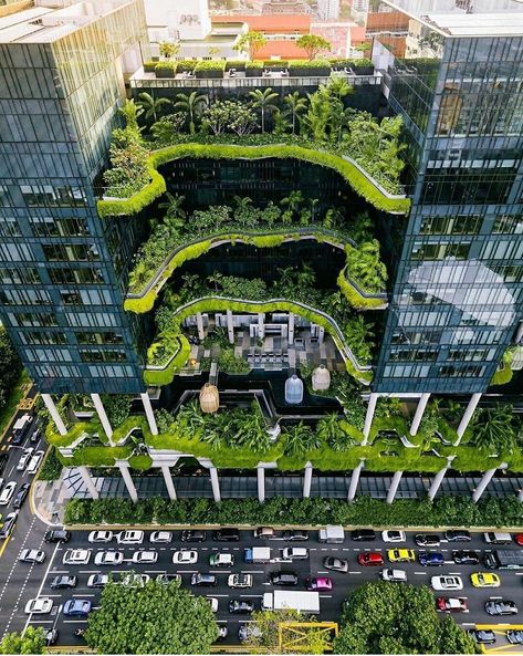 Singapore Woha Architects, Paradise California, Architecture Cool, Park Royal, Eco City, Blue Lives, Green Architecture, Destination Voyage, Futuristic City