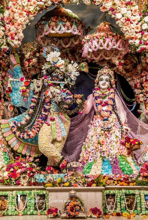 Jagannatha Beautiful Images, Vrindavan Photography, Iskcon Vrindavan, Radhe Krishna Wallpapers, Krishna Book, Little Krishna, Lord Krishna Hd Wallpaper, Peace Illustration, Krishna Songs