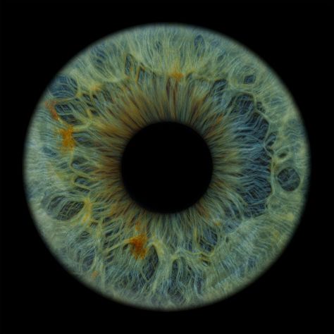 "Les secrets de l'iris : D'où viennent les yeux verts et bleus ?" Magnifique cliché d'un iris vert, n'est-ce pas ? ️✨ Mais savez-vous ce qui donne à nos yeux leur couleur unique ? La couleur de nos yeux est principalement déterminée par la quantité de mélanine présente dans l'iris. C'est ce pigment qui donne leur couleur à nos cheveux et à notre peau. Yeux bruns : Ils contiennent une grande quantité de mélanine, ce qui leur donne leur teinte foncée. Yeux bleus : Paradoxalement, ils ne co... Green Blue Eyes, Pretty Eyes Color, Iris Photography, Iris Eye, Eye Texture, Gray Eyes, Irises, Eye Art, Pretty Eyes