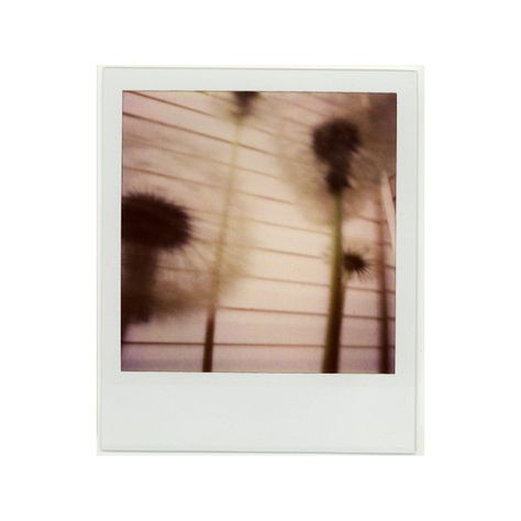 Life Is Strange Polaroid Photos, Burnt Polaroid, Scattered Polaroids, Polaroid Film, Polyvore