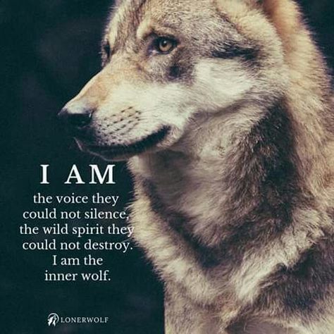 Wolf Pack Quotes, Alpha Quote, Lone Wolf Quotes, In Loving Memory Quotes, Bear Quote, Moon Quotes, Life Choices Quotes, Wolf Quotes, Wolf Spirit Animal