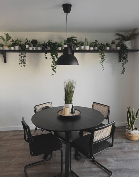 Breakfast Nook Hanging Plants, Fake Plants For Office, Plants For Office, Fake Hanging Plants, Office Plants, Kitchen Nook, Fake Plants, Room Inspiration Bedroom, Breakfast Nook