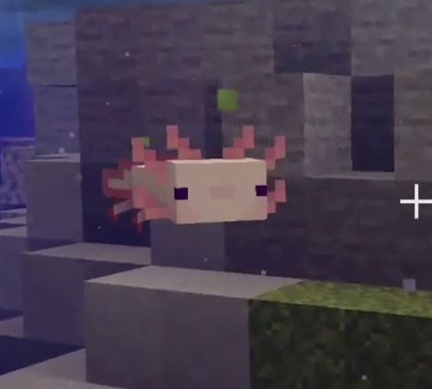 Cute Minecraft Axolotl, Minecraft Animals, Minecraft Axolotl, Cute Minecraft, Axolotl Cute, Cute Axolotl, Video Game, Minecraft, Computer