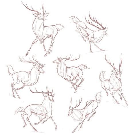 kellamartinart Deer Sketches, Deer Sketch, Deer Drawing, Deer Art, Creature Drawings, Anatomy Drawing, Animal Sketches, Creature Concept Art, Beautiful Animals