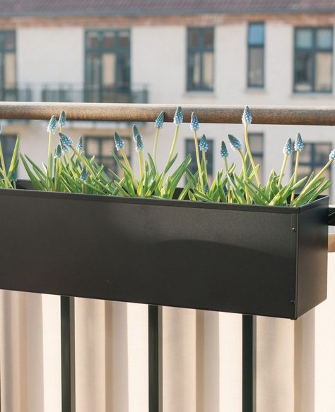 Balcony Living Copenhagen on Instagram: “Extra strong Liva balcony flower box will last longer over time.⁠ ⁠ #balconyview #outdoorsetting #balconyideas #balconygoals #balconydesign…” Balcony Flower Box, Balcony Flowers, Balcony Design, Flower Boxes, Outdoor Settings, Balcony, Copenhagen, Flowers, Plants