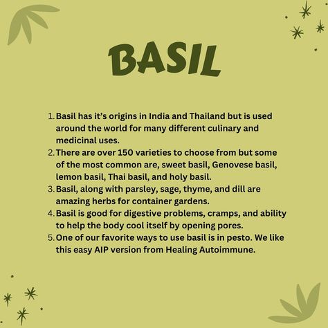 Basil has so many benefits including its wonderful taste! That’s why we decided to share our favorite recipe 😊 Give it a try and let us know what you think! #herbs #basil #spittinfacts #greenthumburbanyum #urbangarden #gardening #planteducation #plantnerd Lemon Basil, Thai Basil, Sweet Basil, Holy Basil, Digestion Problems, Urban Garden, Green Thumb, What You Think, Basil