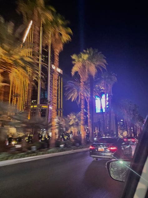 Las Vegas Nightlife, Vegas Nightlife, Vegas Night, Vegas Strip, At Night, Palm Trees, Night Life, Las Vegas, Trees