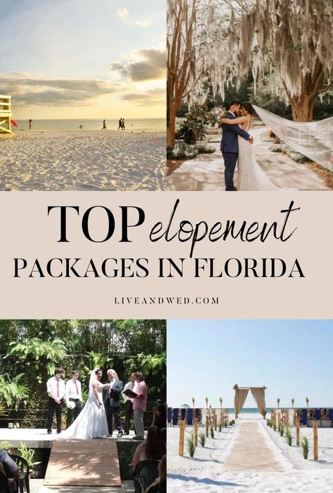 Top elopement packages in Florida Florida Keys Elopement, Elopement Florida, Miami Elopement, Florida Wedding Venues Beach, Beach Wedding Florida, Free Wedding Venues, Small Beach Weddings, Gorgeous Landscapes, Art For Walls