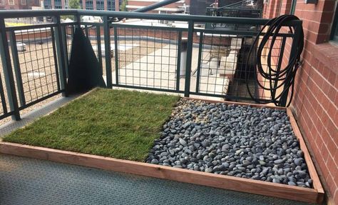 Easy Build DIY Balcony Dog Potty Areas with Real Grass - Balcony Boss Dog Poop Area, Dog Potty Diy, Dog Potty Box, Outdoor Dog Area, Backyard Dog Area, Porch Potty, Dog Potty Area, Dog Friendly Backyard, Dog Backyard