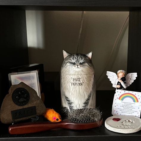 ❤️ Saying farewell to a pet is always hard, but a custom memorial can help ease the pain. 🐱🐶 Our hand-painted urns are designed to capture your pet’s unique character, offering a special place for their ashes and a lasting reminder of your bond. ❤️👼 #cat #dog Pet Decorations, Ear Designs, Pet Crafts, Pet Storage, American Shorthair Cat, Cat Urns, Pet Urn, Russian Blue Cat, American Shorthair