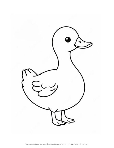 Duck Outline, Big Duck, Bird Coloring, Bird Coloring Pages, Coloring Page Ideas, Easy Coloring Pages, Coloring Pages Printable, Page Ideas, Outline Drawings