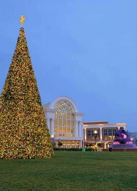 outdoor christmas | christmas | christmas decoration | christmas tree | college campus | high point university High Point University, Decoration Christmas Tree, Mormon Temple, College Campus, Decoration Christmas, High Point, Outdoor Christmas, Christmas Christmas, Christmas Decoration