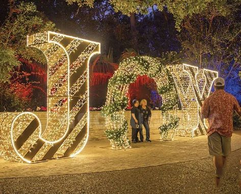 Outdoor Decorative Large Festival Lighting Christmas Front Porches, Large Outdoor Christmas Decorations, Christmas Venue, Outdoor Christmas Light Displays, Festival Lighting, Best Outdoor Christmas Decorations, Christmas Pathway Lights, Home Decor Ideas Christmas, Christmas Lights Outside