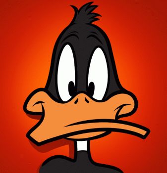 Daffy Duck Duck Gif, Duffy Duck, Cartoon Network Characters, Duck Drawing, Disney Cartoon Characters, Looney Tunes Characters, Drawing Cartoon Characters, Drawing Guide, Classic Cartoon Characters