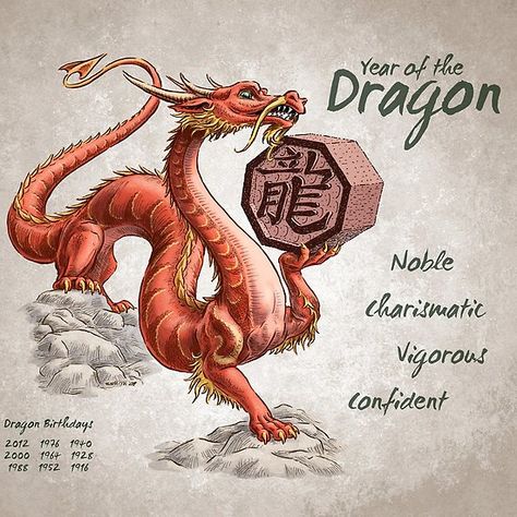 Year of the Dragon Calendar (white) Chinese Signs, Chinese New Year 2022, Jackie Chan Adventures, Dragon Zodiac, Zodiac Meanings, Chinese Zodiac Dragon, Chinese Horoscope, Pop Illustration, Dragon Year