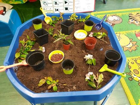 Superworm Tuff Tray Ideas, Plant Tuff Tray, Planting Tuff Tray, Growing Tuff Tray Ideas, Plants Nursery Ideas, Gardening Tuff Tray Ideas, Planting And Growing Eyfs Activities, Garden Tuff Tray Ideas, Farm Tuff Tray Ideas