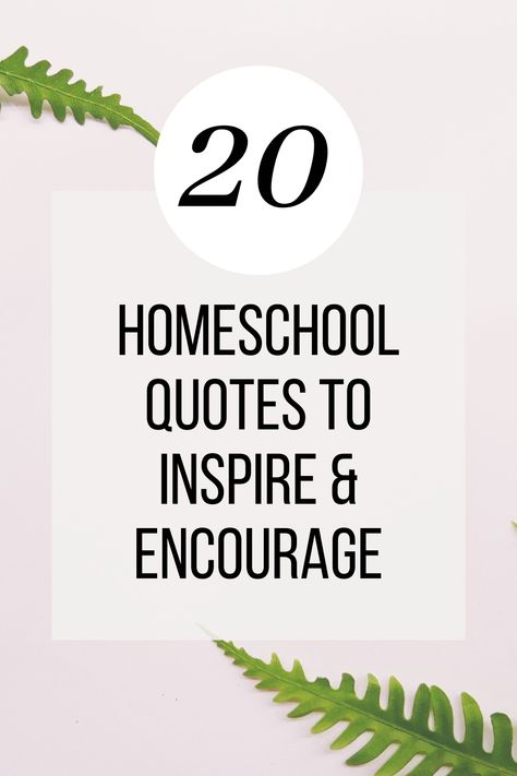 We all need a little inspiration and encouragement! Check out these homeschool quotes! #quotes #homeschoolquotes #homeschool Homeschool Inspiration Quotes, Unschooling Quotes, Homeschool Mom Quotes, Quotes To Lift Your Spirits, Park Date, Quotes To Encourage, Homeschool Quotes, Sibling Quotes, Homeschool Inspiration