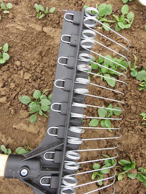 6 Essential Tools For Weeding Your Garden - Hobby Farms Best Garden Tools Products, Useful Farm Tools, Weeding The Garden Tools, Farm Tools And Equipment, Agriculture Tools, Garden Tools Design, Farming Tools, Garden Tools Diy, Harvesting Garlic