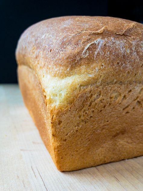 A delicious Single Rise White Bread recipe that makes two loaves of quick, easy, slightly sweet, white bread and only requires a single rise. Perfect for sandwiches or simply slathered with butter. #bread #singlerisebread #homemadebread #onerisebread | #thegeneticchef Sweet White Bread, High Altitude Bread Recipe, Easy White Bread Recipe, White Bread Recipe, Sandwich Bread Recipes, Homemade Dinner Rolls, Food Substitutions, Quick Bread Recipes, Bakery Bread