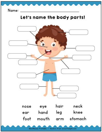 Body Parts Worksheet, Body Parts Preschool Activities, Body Parts For Kids, Human Body Worksheets, Body Parts Preschool, English Activities For Kids, Learning English For Kids, English Worksheets For Kids, Learning Worksheets