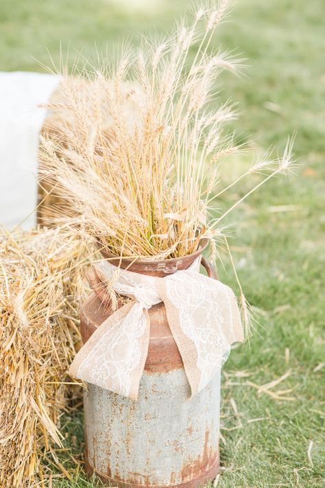 Simple Fall Wedding Ceremony Decor, Outdoor Farm Wedding Ceremony, September Farm Wedding, Farm Wedding Arch, Corn Wedding Decorations, Farmer Wedding Ideas, Wheat Grass Wedding Decor, Wheat Wedding Decorations, Corn Field Wedding Ceremony