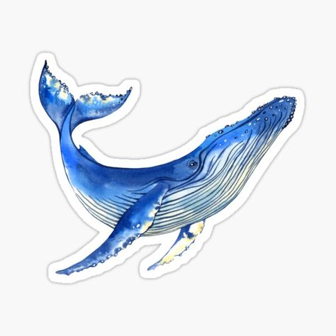 "Watercolor whale" Sticker by achtung-ein | Redbubble Whale Sticker, Whale Pictures, Watercolor Whale, 타이포그래피 포스터 디자인, Watercolor Stickers, Scrapbook Stickers Printable, Drone Photos, Aesthetic Indie, Unique Sticker