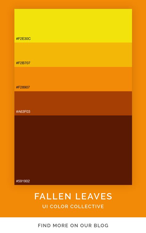 Fall themed color palette Brown And Yellow Colour Palette, Yellow Orange Brown Color Palette, Yellow And Brown Palette, Yellow Brown Palette, Yellow And Brown Color Palette, Yellow Brown Color Palette, Yellow And Orange Color Palette, Leaves Color Palette, Yellow Pallet