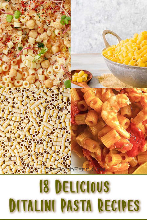 Discover 18 delicious ditalini pasta recipes that will take your pasta dishes to the next level! From hearty soups to creamy bakes, this tiny pasta adds big flavor to every meal. Get inspired with these must-try ditalini ideas! Ditali Pasta Recipes, Creamy Ditalini Pasta Recipes, Ditalini Recipes, Ditalini Pasta Recipes, Recipes With Ditalini Pasta, Tiny Pasta, Tuna Pasta Bake, Ragu Sauce, One Pan Pasta