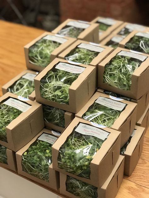 Rosemary Ranch on Twitter: "Microgreens in our new environmentally friendly packaging. Head out to @ChesBounty, North Beach on their Grand Reopening! https://t.co/Z2j5rWj3kd" / Twitter Indoor Herb Garden Display, Micro Greens Packaging, Produce Package Design, Microgreens Packaging Ideas, Farmers Market Ideas To Sell, Microgreen Packaging, Selling Microgreens, Microgreens Packaging, Microgreens Business