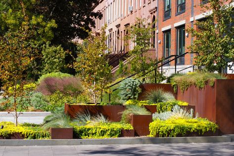 Carroll Street MTA Plaza | Future Green Studio | Archinect Simple Landscape Design, Landscape Slope, Green Studio, Yard Landscaping Simple, Modern Landscape Design, Steel Planters, Planting Design, Landscape Edging, Low Maintenance Landscaping